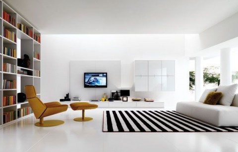 white-and-black-livingroom